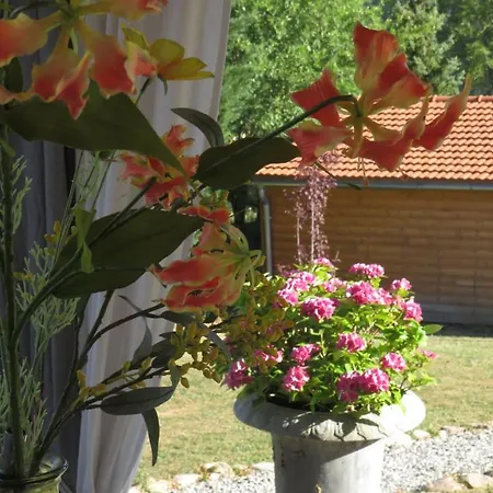 Lavaux Bed & Breakfast *